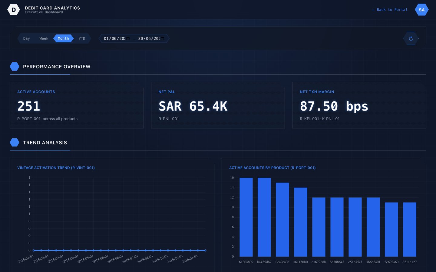 Executive summary dashboard for the card portfolio
